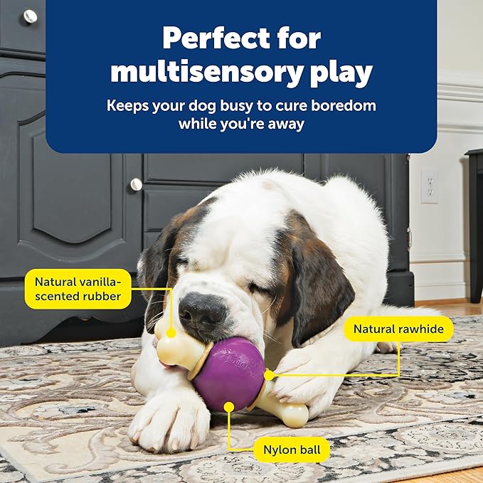 PetSafe Busy Buddy Bouncy Bone, Treat Holding Dog Toy, Large, Best for Dogs Over 75 Lb.