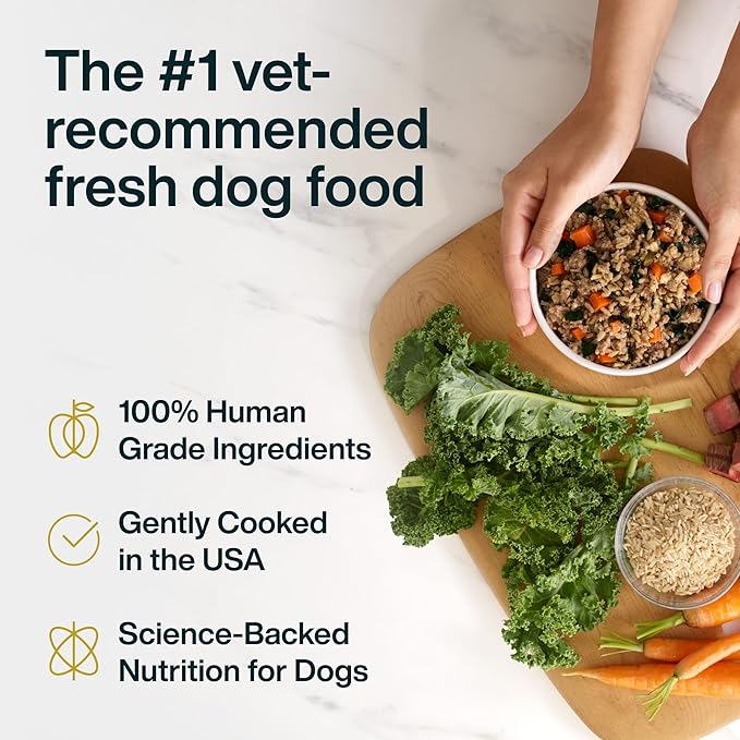 JustFoodForDogs JustFresh Wet Dog Food, Fresh Pet Meals and Toppers with No Preservatives, Resealable Package, Human Grade, Home-Cooked Beef & Chicken, 12 oz - 14 Pack