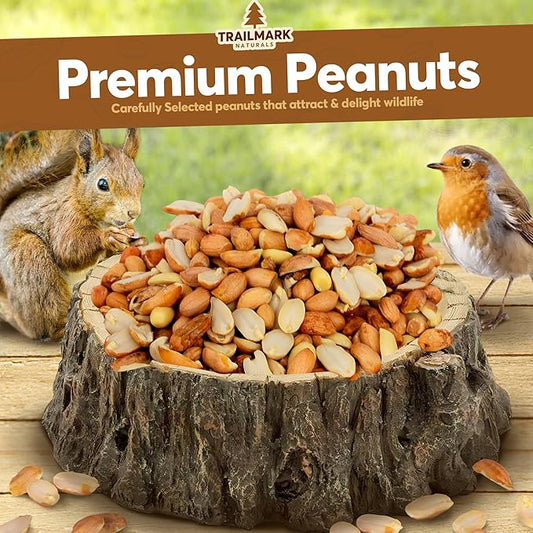 5 LB - Raw Shelled Peanuts For Squirrels, Out of Shell Peanuts For Birds and Wildlife- Squirrel Food, Wild Bird Seed - Grown in The USA