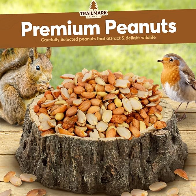 45 LB - Raw Shelled Peanuts For Squirrels, Out of Shell Peanuts For Birds and Wildlife- Squirrel Food, Wild Bird Seed - Grown in The USA