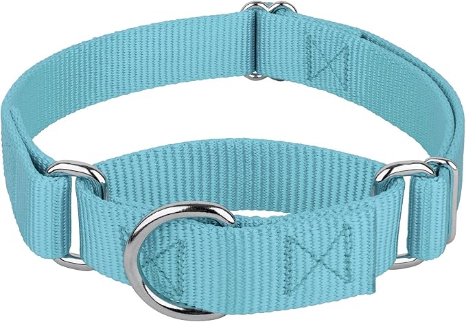 Country Brook Petz - Martingale Dog Collar - Heavy-Duty Training Collar with No Buckle - Service Dog Collar for All Pups - 20 Vibrant Colors (Ocean Blue, 5/8 Inch, Extra Small)