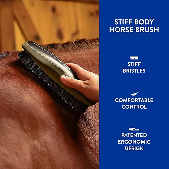 Wahl Professional Animal Equine Grooming Stiff Body Horse Brush, Black (#858705)