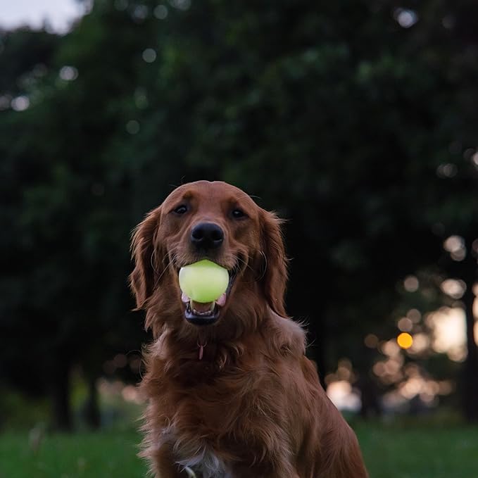 Harry Barker Glow-in-the-Dark Rubber Dog Fetch Balls, High-Bounce Interactive Toy with Safety Air Vent, 2.5 Inch, Launcher-Compatible