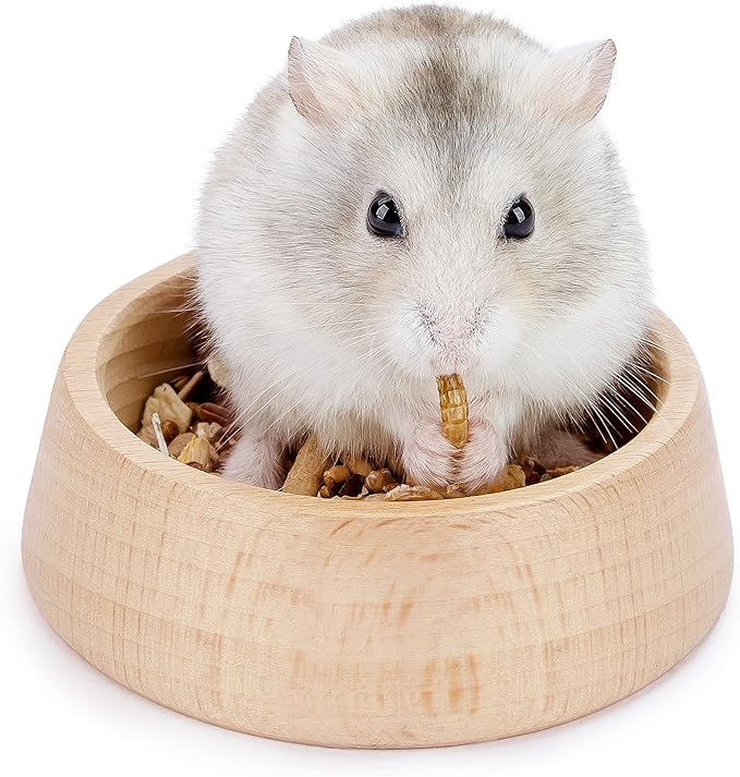 Niteangel Wooden Hamster Feeding Bowl - Small Animal Food Dish for Dwarf Syrian Hamsters Gerbils Mice Degus or Other Similar-Sized Small Pets (Hammy Pattern, for Dwarf)