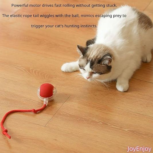 Interactive Cat Toy Ball Automatic Rolling Smart Cat Ball with Tail Motion Activated USB Rechargeable 3 Speed Modes Bird Chirping Durable Silicone Pet Toy for Indoor Cats Multiple Colors (Yellow)