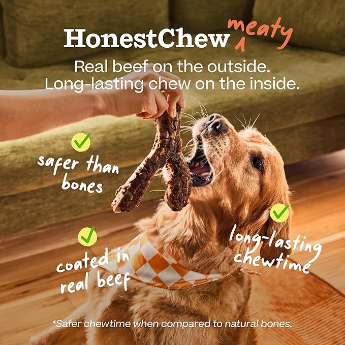 WOOF HonestChew Meaty Dog Toy Y-Gnawt - Durable Dog Chews - Made with Real Beef and Natural, Plant-Based Ingredients - Splinter-Resistant - Safer Than Dog Bones - Small