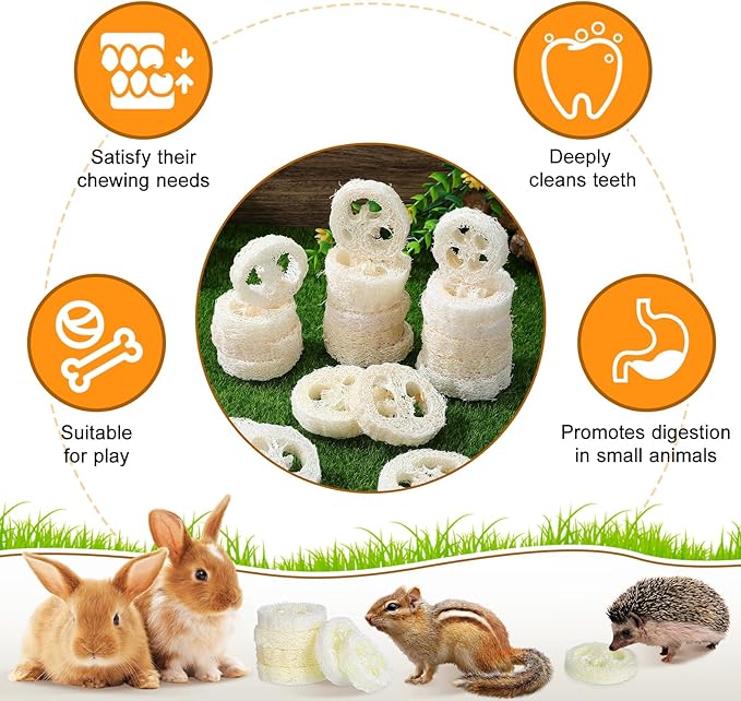 Toddmomy Rabbit Chew Toys 20pcs Loofah Teeth Grinding Toys Small Animal Tooth Cleaning Tools for Guinea Pig Chinchilla Hamster