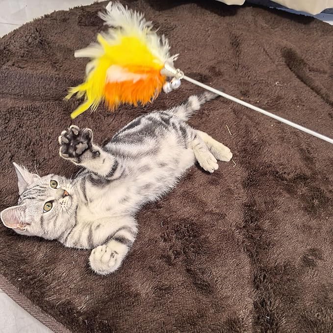 Interactive Cat Teaser Wand with Colorful Feathers & Double Bells, Irresistible Wiggle for Indoor Cats, Chew-Resistant Kitten Toy (Orange)