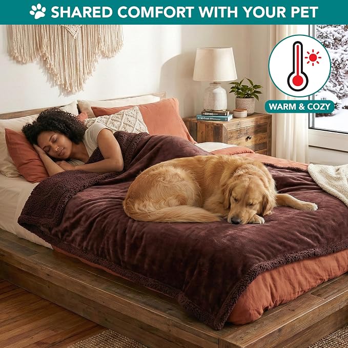 PetAmi Dog Blanket for Small Medium Dogs Cats Puppies Kittens, Soft Sherpa Fleece Pet Blanket Throw, Reversible Plush Couch Cover Protector for Crate Carrier Chair Machine Washable, 40x29, Solid Brown