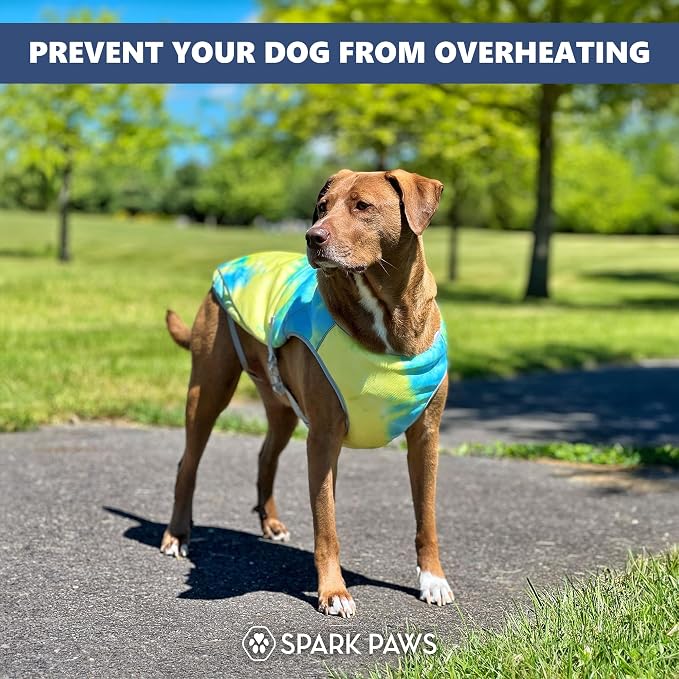 Spark Paws Dog Cooling Vest - SPF 50 UV Sun Protection - Summer Heat Relief Gear for Dogs, Lightweight, Evaporative Cooling - Dog Anxiety Relief Vest During Hot Days - Tropical Storm, Small