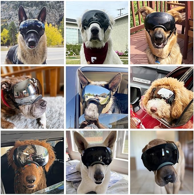 NAMSAN Dog Goggles for Large Dogs, Black/Silver Lenses Replaceable, Anti-UV Sunglasses for Dogs Medium to Large Breeds, Driving Dog Eye Protection, Windproof Dustproof, Adjustable, Green