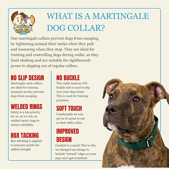 Country Brook Petz - Martingale Dog Collar - Heavy-Duty Training Collar with No Buckle - Service Dog Collar for All Pups - 20 Vibrant Colors (Green, 1 Inch, Large)