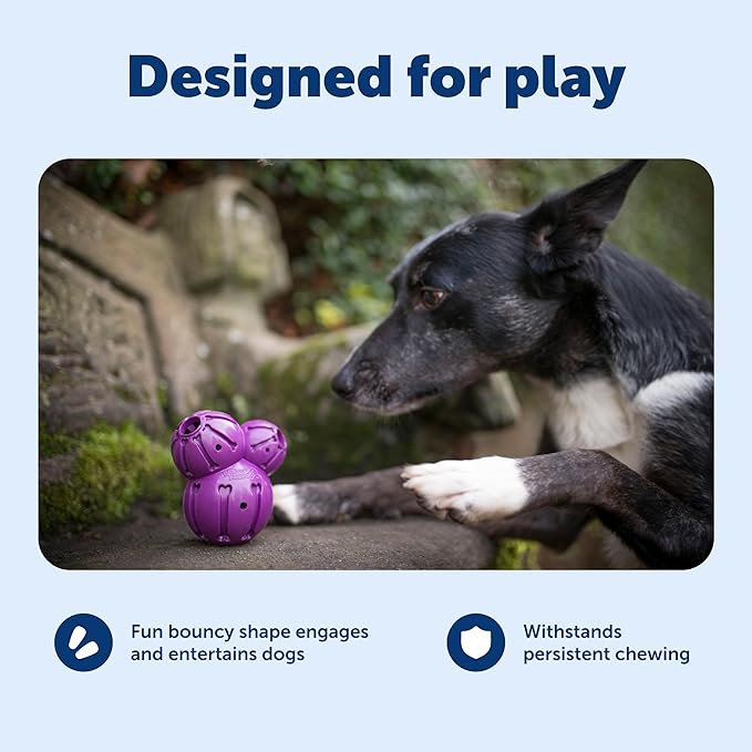 PetSafe Busy Buddy Barnacle, Large