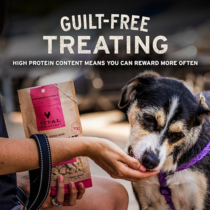 Vital Essentials Freeze Dried Bully Sticks Dog Treats | Premium Quality, Long Lasting | Grain Free Treats for Dogs, (3 Count) 1.4 oz Bag