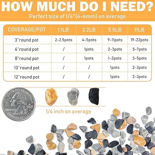 11LB Natural Gravel Pebbles, 1/4 Inch Gravel Stones for Succulent and Cactus, Aquariums, Terrarium, Vases and Indoor Outdoor Gardening,Colorful