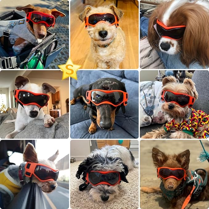 Dog Goggles Small Breed, Dog Sunglasses UV Protection Puppy Eyewear for Small Pet Outdoor Riding Driving, Orange S