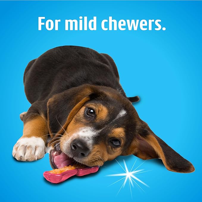 HARTZ Chew 'n Clean Dental Duo Bacon Flavored Dog Chew Toy - 1 Count