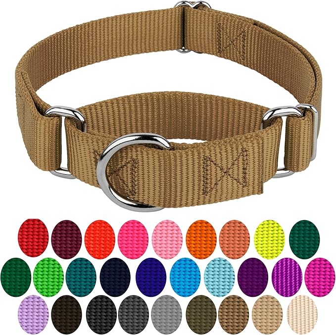 Country Brook Petz - Martingale Dog Collar - Heavy-Duty Training Collar with No Buckle - Service Dog Collar for All Pups - 20 Vibrant Colors (Coytote Tan, 3/8 Inch, 3XS)
