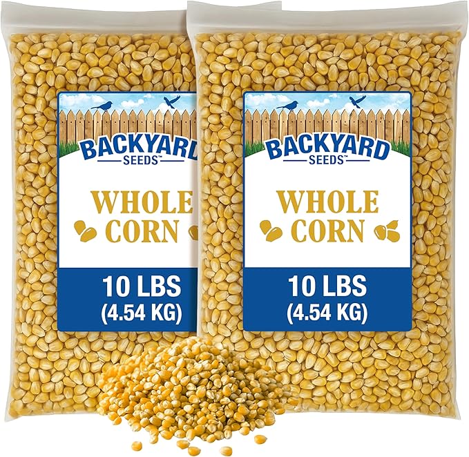 CountryMax Backyard Seeds Whole Corn 20 lbs - High-Energy Animal Feed for Chickens, Squirrels, Deer & Wild Birds, Ground Feeding, High Protein