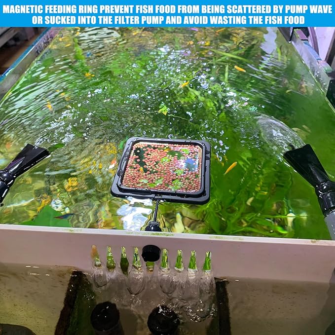 Magnetic Fish Feeding Ring, Floating Aquarium Feeder Ring for Fish Tank，Betta Feeding Ring for Goldfish, Guppy, Fresh/Saltwater Tanks- Prevents Food Scattering and Anti-Falling Off（Patented Product）