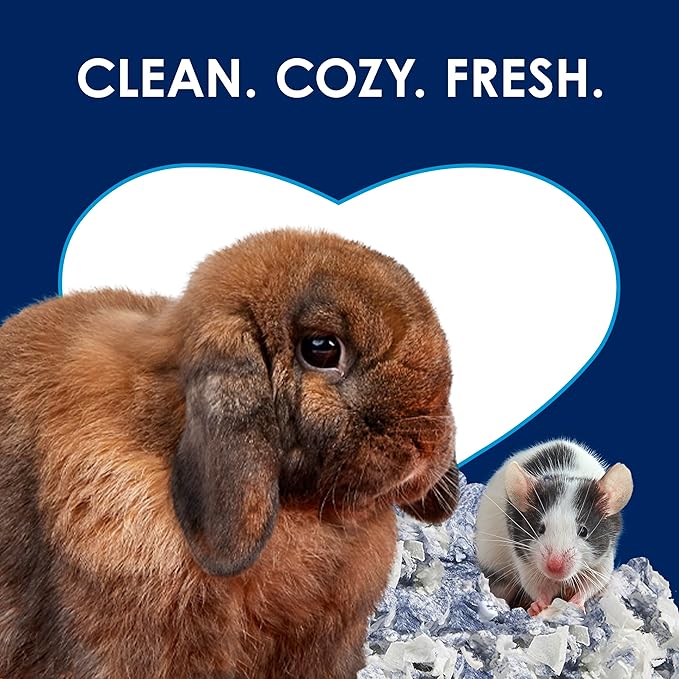 Kaytee Clean & Cozy Extreme Odor Control Bedding, Made for Small Animals, 40 Liters (Pack of 4)