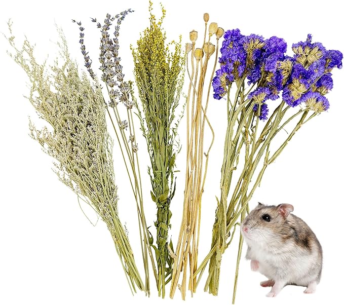 Fhiny Natural Hamster Bedding, Flower & Herb Hamster Bedding Mate Hamster Sprays Gerbil Habitat Decor Accessories for Dwarf Syrian Hamster Gerbil Mice Mouse Degus Lemming or Other Small Pets