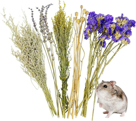 Fhiny Natural Hamster Bedding, Flower & Herb Hamster Bedding Mate Hamster Sprays Gerbil Habitat Decor Accessories for Dwarf Syrian Hamster Gerbil Mice Mouse Degus Lemming or Other Small Pets