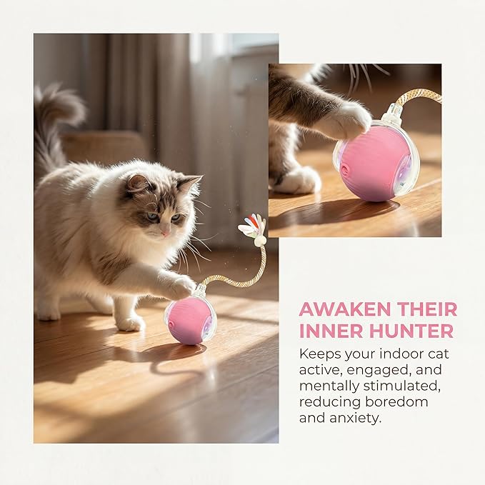 Rechargeable Smart Rolling Cat Ball, Automatic Interactive Cat Toy with 3 Modes, LED Light & 3 Replaceable Accessories, Indoor Cat Exercise Toy for Kittens & Adult Cats, for Boredom Relief Gray