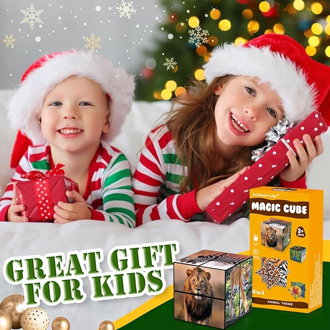 2 in 1 Star Cube Magic Cube Set, Fidget Toy for Kids, Animal Toys for Ages 8-13, Travel Yoshimoto Cube for 6 7 8 9 10 11 Year-Old Boy Girls Gifts