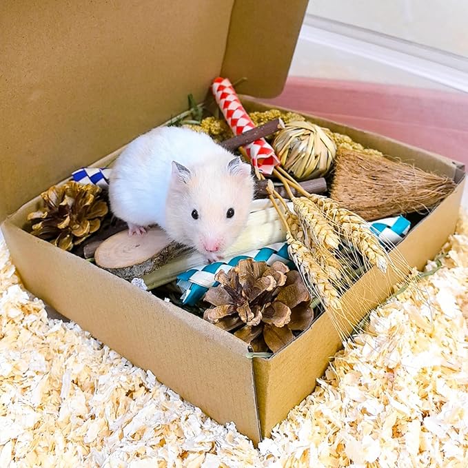 Hamster Toys Box for Chewing&Teeth Grinding Natural Hamster Treats for Chinchilla Rat Hamster Bunny and Other Small Pets (Small)