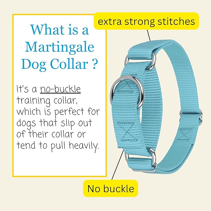 Country Brook Petz - Martingale Dog Collar - Heavy-Duty Training Collar with No Buckle - Service Dog Collar for All Pups - 20 Vibrant Colors (Ocean Blue, 1 Inch, Extra Large)