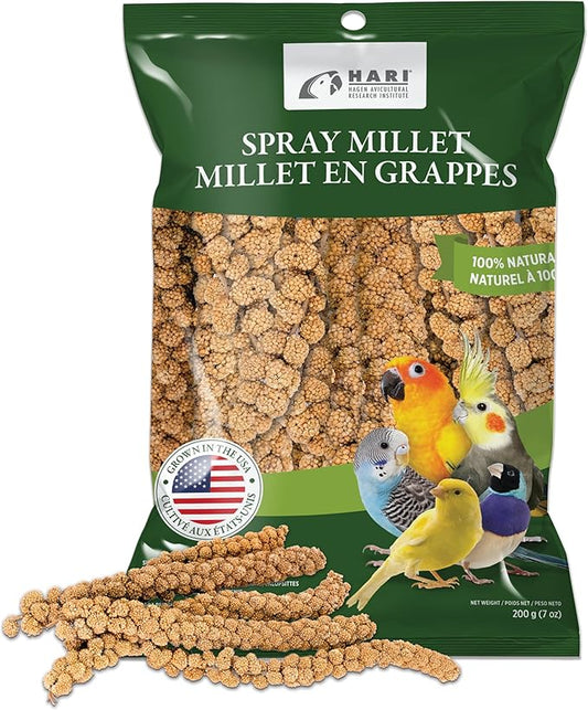 Living World – Millet Spray for Birds,7 Oz – Premium Treat for Budgies,Canaries,Finches,Cockatiels and Other Pet Birds,(Pack of 2)