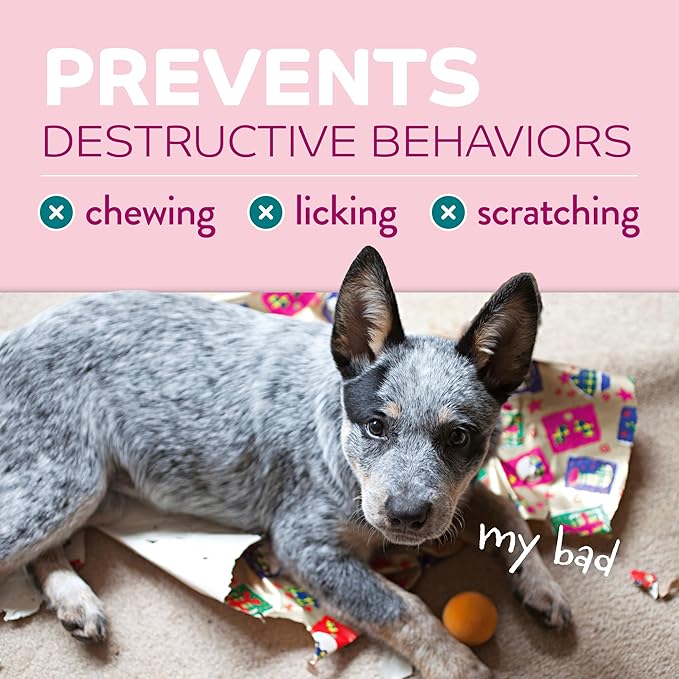TropiClean No Chew Spray for Puppies, Better Than Bitter Apple Spray, Safe & Natural Chew + Lick Deterrent, Protect Home, Skin & More! 8oz
