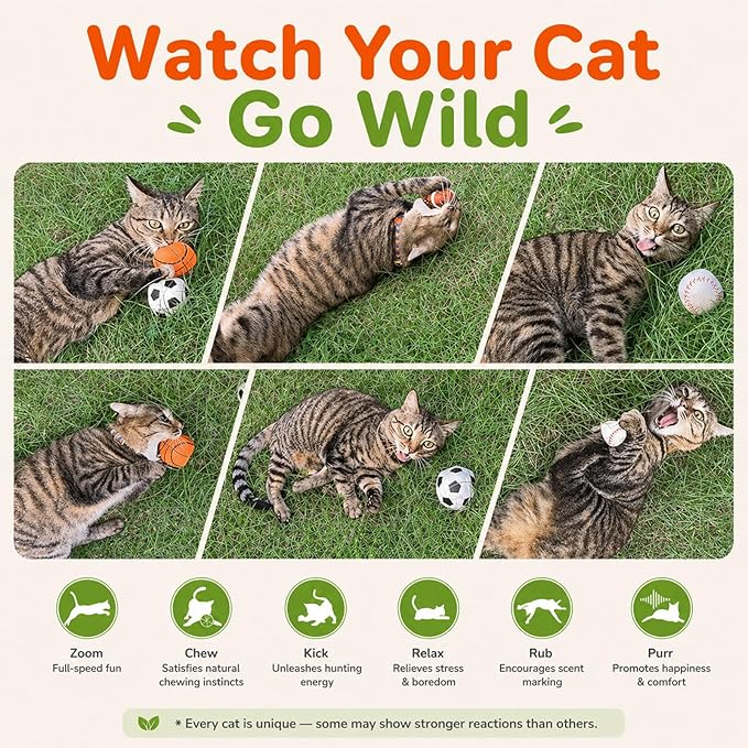 Agape 100% Catnip & Silvervine Filled Cat Toys, Interactive Chew & Kicker Balls for Indoor Cats, Enrichment and Teeth Cleaning Fun for Bored Cats and Kittens, 2 Pack Natural Crinkle Cat Toy with Sound