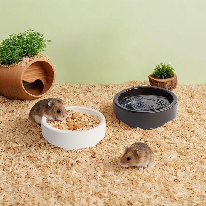 2 Pack Ceramic Bowls for Syrian Hamster & Hedgehog, 3.9" Diameter, Shallow Chew-Proof Dish, Non-Slip Base, Easy to Clean (White + Black)