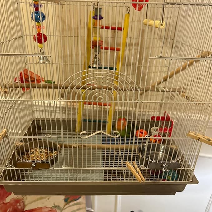 kathson Bird Feeding Dish Cups,Large Stainless Steel Parrot Food Water Bowl,Parakeet Feeder Birds Cage Ball Toys with Clamp Holder for Cockatiel Budgies Macaw Small Animal Chinchilla(7 Pcs)