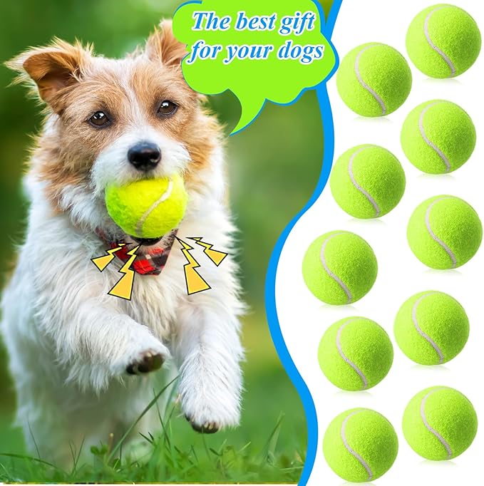 Skylety 100 Pcs 2.5 Inch Squeaky Tennis Balls Bulk for Dogs Bouncy Floatable Tennis Balls Dog Playing Supplies Training Interactive Fetch Toys Indoor and Outdoor for Small Medium Puppy (Green)