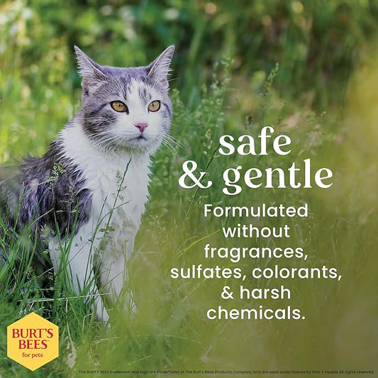Burt's Bees for Pets Cat Dander Remover Wipes, Colloidal Oat Flour and Aloe to Soothe Dry Skin and Reduce Flaking, Unscented Grooming Cloths for Cats and Kittens, 50 Count