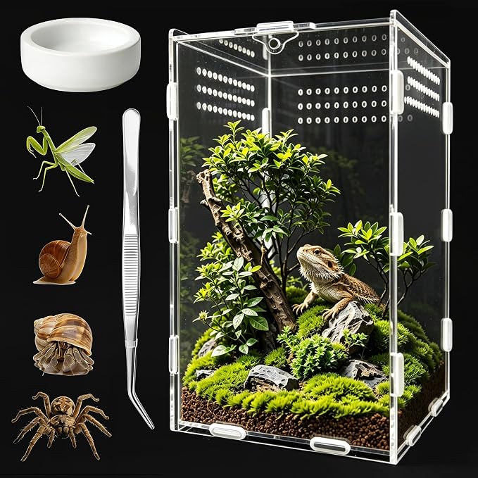 Jumping Spider Enclosure, Insect Terrarium, Bug Cage, Acrylic Terrarium for Tarantula, Snail, Praying Mantis, Frog, and Small Reptiles, Includes Tweezer and Bowl, (5.9" x 5.9" x 9.8")