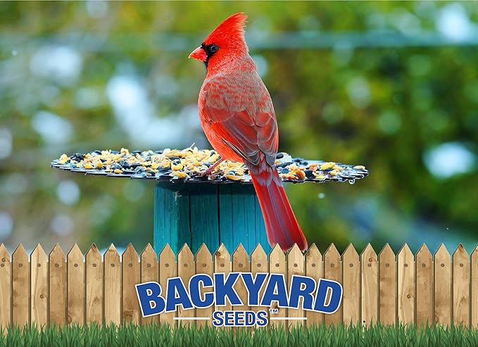 Backyard Seeds Premium Bird Seed 40lbs - Supreme Wild Bird Food Blend for Outside Feeders, Large Bulk Bag of Wild Bird Food