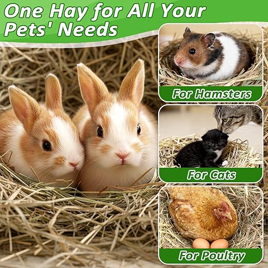 MAQIHAN Natural Straw for Small Animals Bedding- 5.92oz Dry Straw,Garden Straw,Animal Hay Bedding Nest Chaw Toy Bed,Sleeping,Chewing,Nesting and Toys for Rabbits,Bed Mat