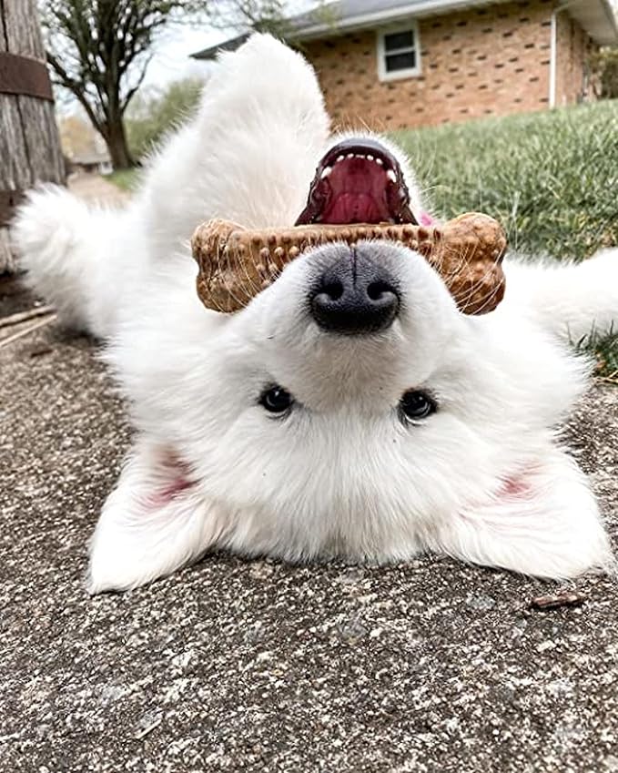 Nylabone Nubz Natural Dog Chew Treats for Large Dogs, Long Lasting Dog Chew Bones Made in the USA, Chicken Flavor Breath Freshener Dental Chews, Large Dog Bones for Dogs Over 30 lbs. (20 Count)