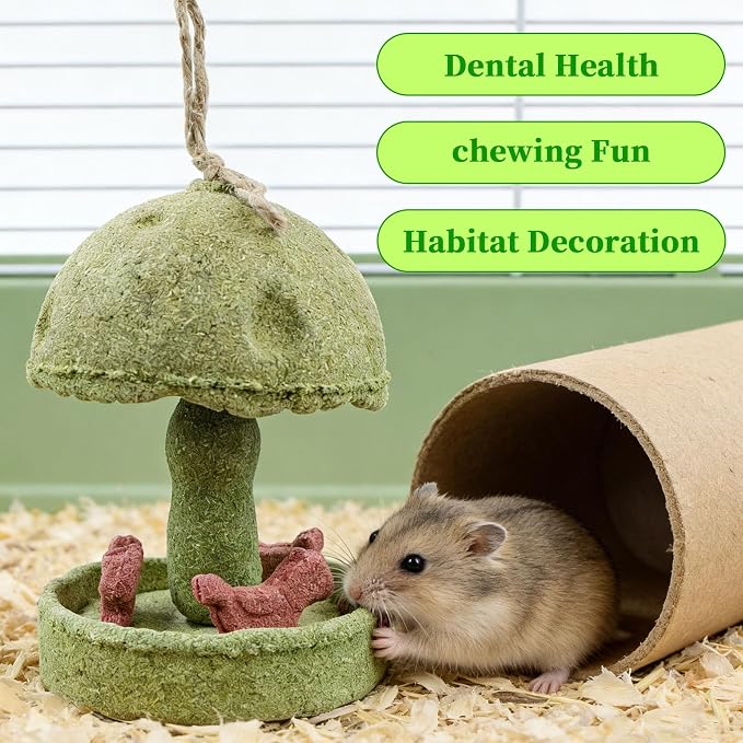 Hamster Chew Toys, Carousel Shape Natural Chew Toy with Hanging Rope, Bunny Toys for Rabbits Indoor, Toy for Rat, Hamster, Guinea Pig and Other Small Animals