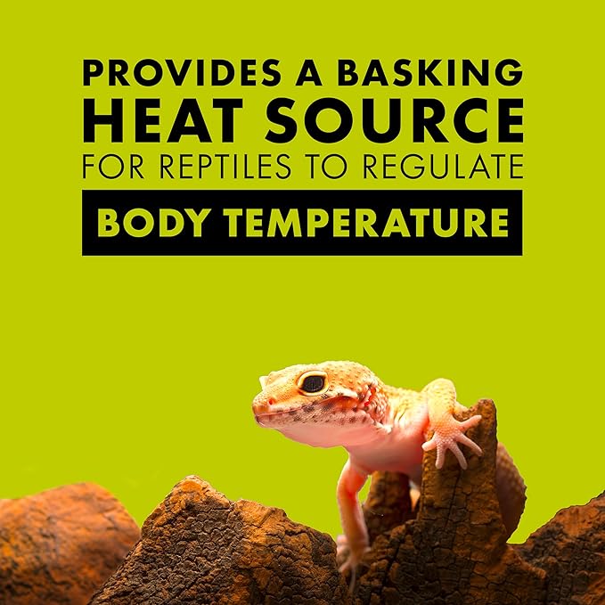 Zilla Reptile Terrarium Heat Lamps Incandescent Bulb, White Spot, 150W