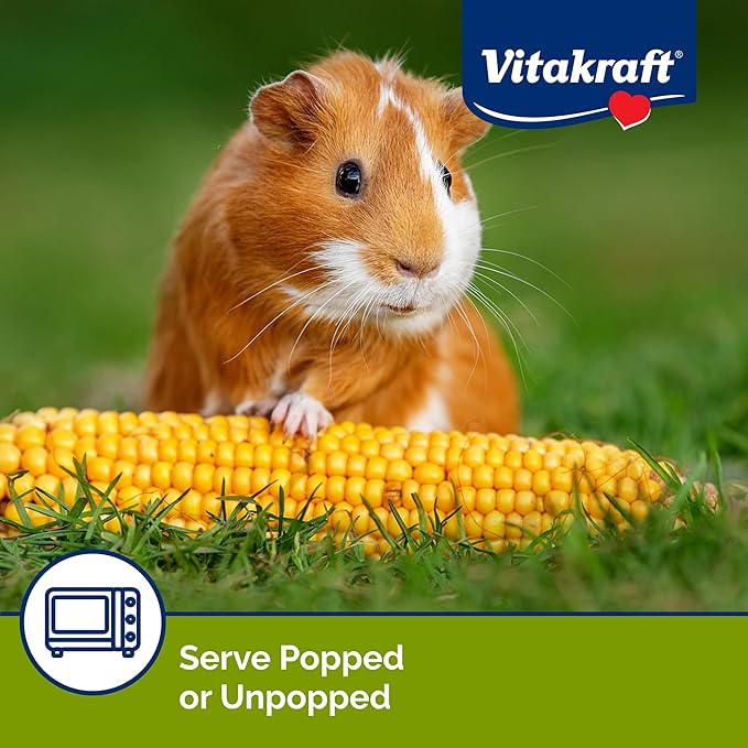 Vitakraft Mini-Pop Treat for Small Animals 6 oz – All-Natural Single-Ingredient Snack - Serve Popped or Unpopped – Enrichment, Chewing, Fun, Natural Teeth Wear – Rabbit, Hamster, Gerbil, Guinea Pig