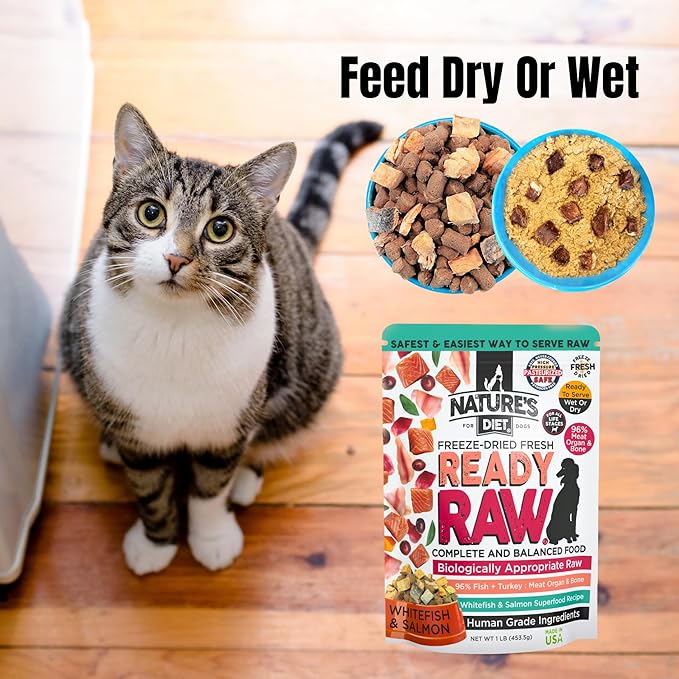 Nature's Diet Ready Raw : Freeze-Dried Raw Cat Food, Salmon & Whitefish, Human Grade, High Pressure Pasteurized (HPP), 96% Meat, Organ, Bone, Safe & Natural, Dry or Wet Feeding