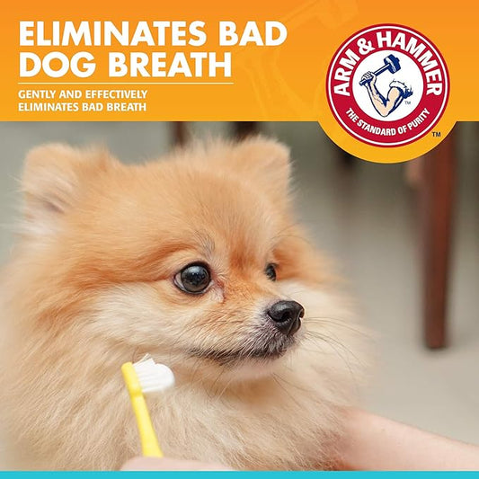 Arm & Hammer for Pets Fresh Breath Enzymatic Dog Toothpaste, Chicken Flavor, Safe for Puppies and Adult Dogs, Daily Baking Soda Dental Gel to Eliminate Bad Breath, 2.5 Oz - 72 Pack