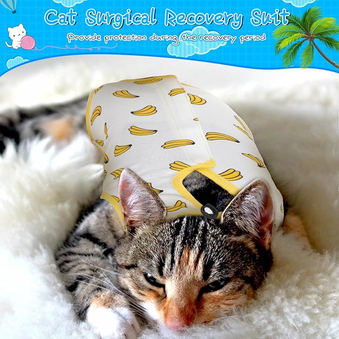 Kacctyen 6 Set Cat Recovery Suit After Surgery Female and Male Cat Kitten Surgery Suit E Collar Alternative Pajama Kitty Clothes for Spay Abdominal Skin Anti Licking(Fruit,Medium)