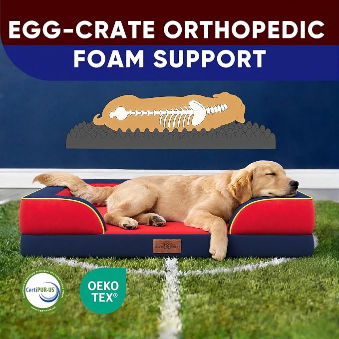 Comfort Expression Orthopedic Dog Bed for Extra Large Dogs with Bolster | Waterproof Dog Couch Bed with Washable Cover & Non-Slip Bottom, Supportive Egg Crate Foam XL Pet Bed, 42x30 Inch