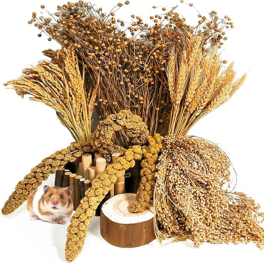Natural Hamster Grain & Herb Habitat Deocr, Edible Hamster Sprays Herbs Bedding Mate, Hamsters Cage Enrichment Decoration Accessories for Gerbil Dwarf Syrian Hamsters Mouse Guinea Pig Mice